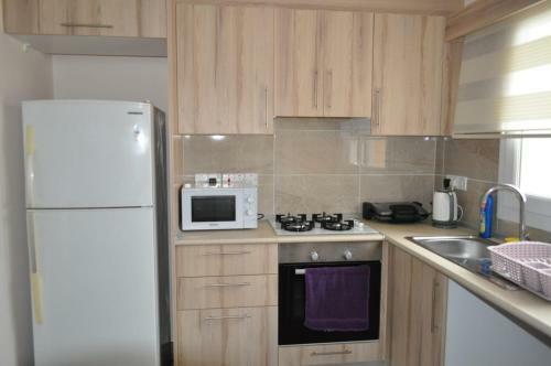 Alp Apartment