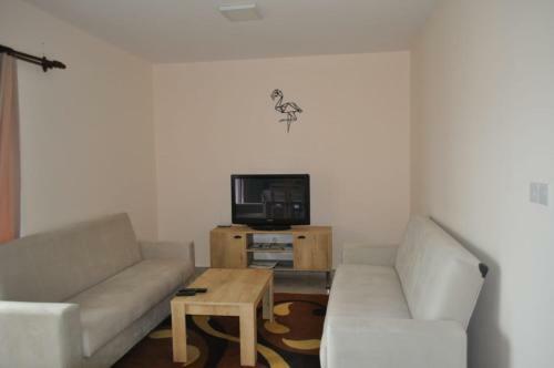 Alp Apartment