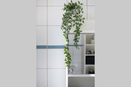 Apartamento 2 Zimmer In Jugendstilwohnung Mit Garten (1-6 P.)