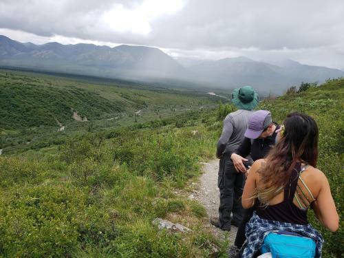 Denali Wild Stay - Moose Cabin, Free Wifi, 2 Private Bedrooms