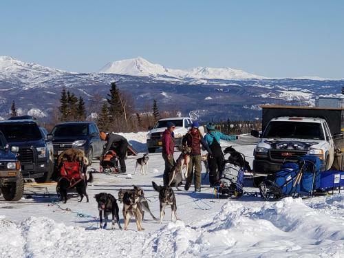 Denali Wild Stay - Moose Cabin, Free Wifi, 2 Private Bedrooms