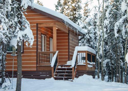 Denali Wild Stay - Moose Cabin, Free Wifi, 2 Private Bedrooms