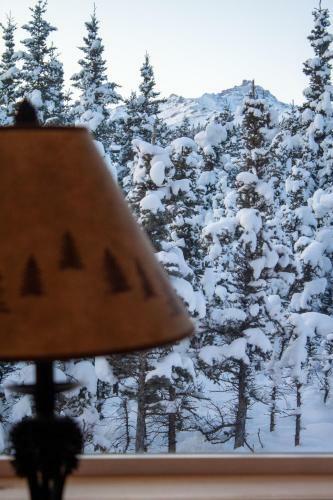 Denali Wild Stay - Moose Cabin, Free Wifi, 2 Private Bedrooms