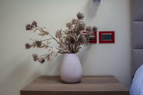 Hostal Iballe Guesthouse