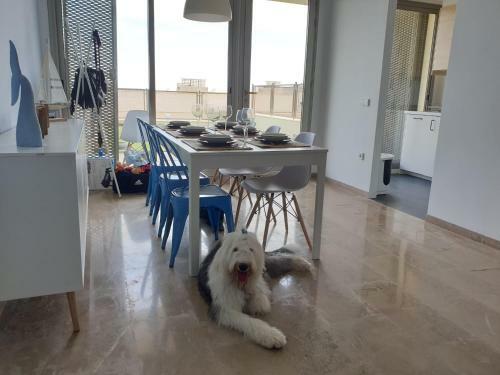 Adosado Completo Casa Sierra Y Playa Pe��scola