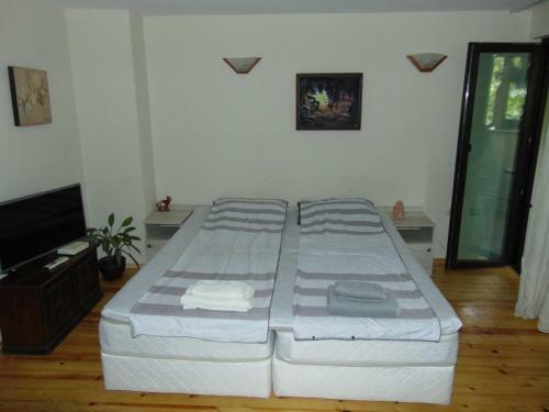 Aleksandrovska Burgas Apartment