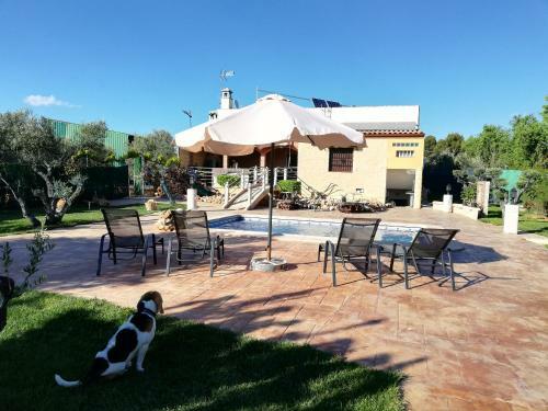 Villa Vega