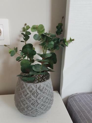 Apartamento High Vision