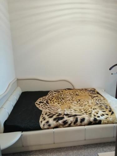 Apartamento ??????? ????????? ??????????? ? ????? ???????? ?????? ???????? ????