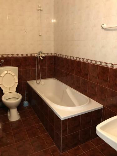 Hostal Milena`s House