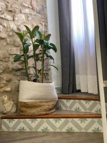 Apartamento Casa Zib� Casco Antiguo Wifiaa