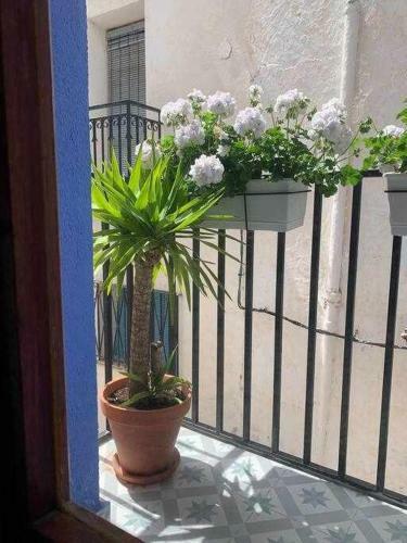 Apartamento Casa Zib� Casco Antiguo Wifiaa