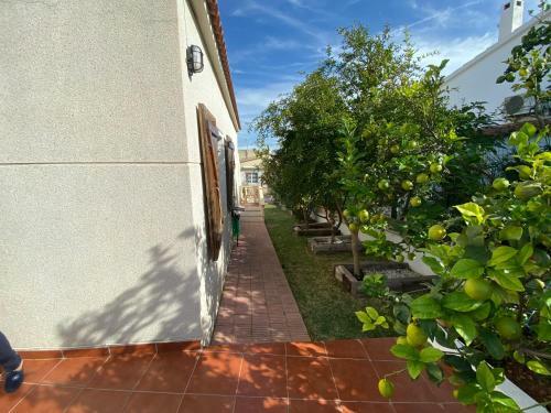 Nova Pe�iscola Fincas Van Camp