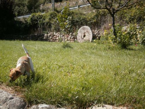 Agroturismo Molino De Pradillo