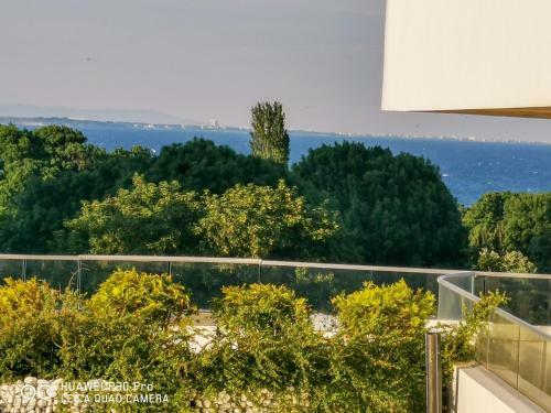 Luxury Apartments Alix