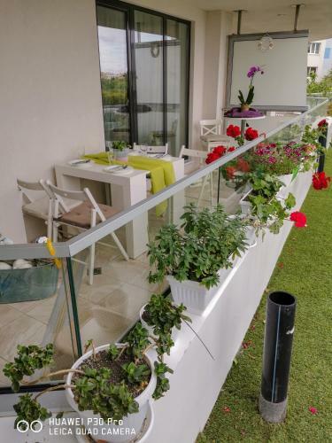 Luxury Apartments Alix