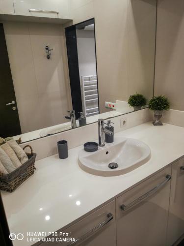 Luxury Apartments Alix
