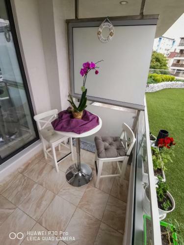 Luxury Apartments Alix