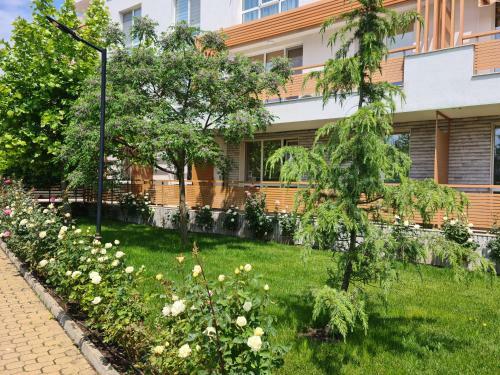 Apartamento Rose Studio