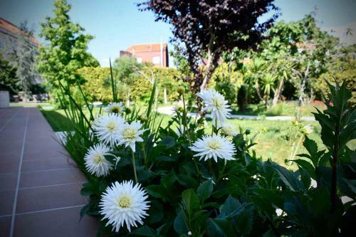 Pincheiro Apartamentos Tur�sticos