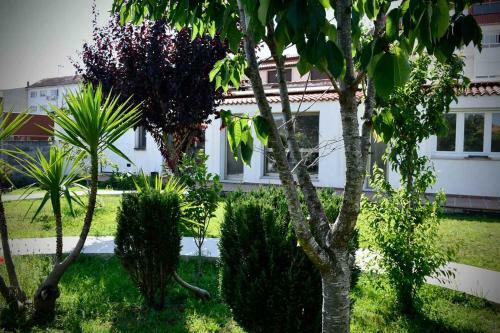 Pincheiro Apartamentos Tur�sticos