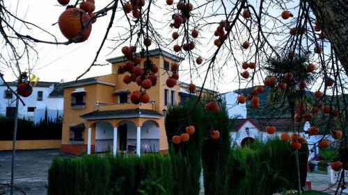 Hacienda La Toscana