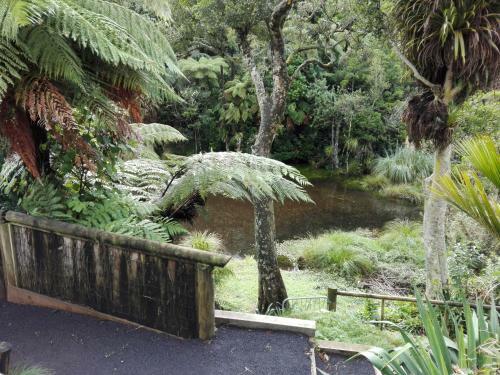 Apartamento Taranaki Experience