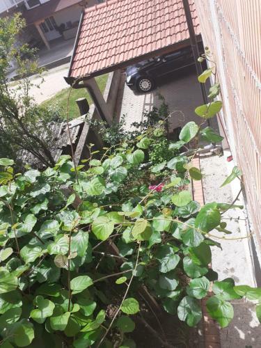 Apartamento Spirit