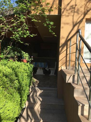 Hostal Byala Residence Apartments