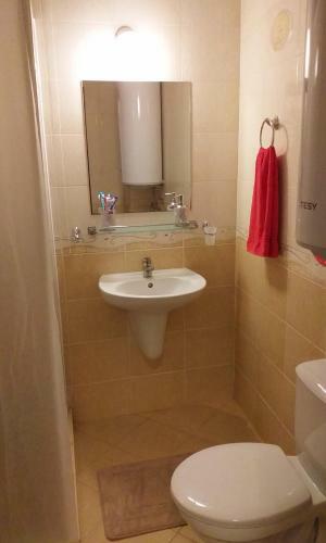 Apartamento Studio Alma