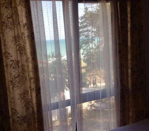 Dream View