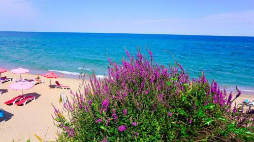 ???? ????? ???? ?????????? ? - Byala Vista Beach Apartments D