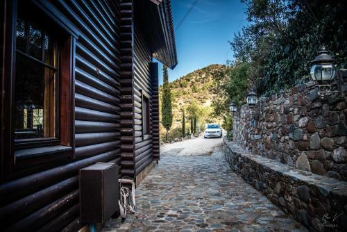 *2 Bdr Log House /mountains/queen Bed/fireplace
