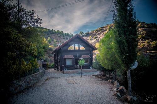 *2 Bdr Log House /mountains/queen Bed/fireplace