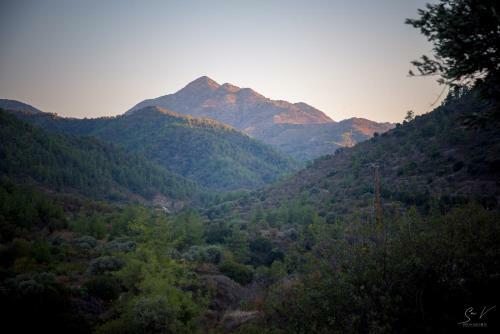 *2 Bdr Log House /mountains/queen Bed/fireplace