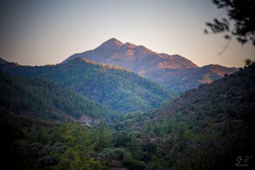 *2 Bdr Log House /mountains/queen Bed/fireplace