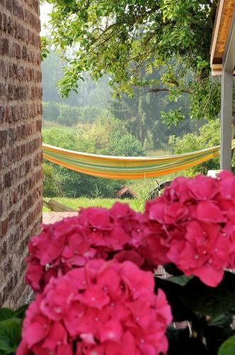 Boerderaaj Vakantiewoning