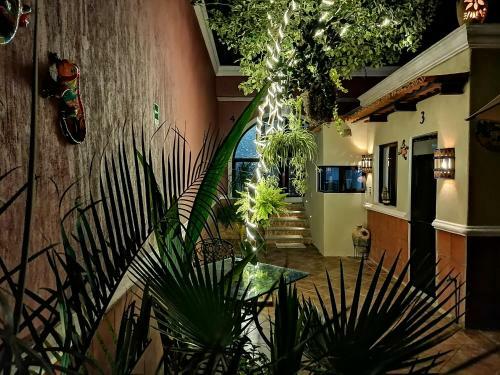 Apartamento Lake Chapala Main Plaza