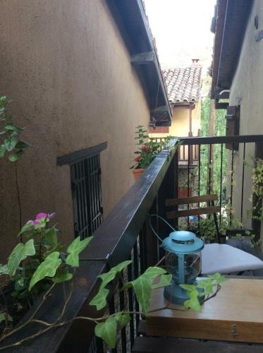 Irene's House