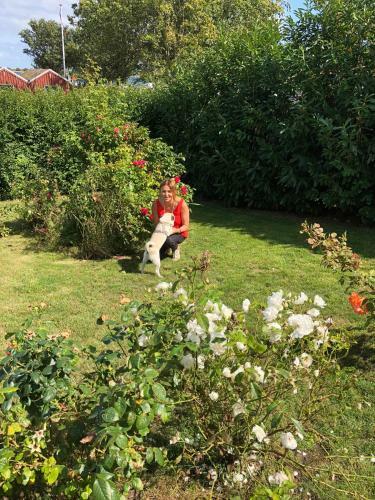 Schl�sschen Am Meer