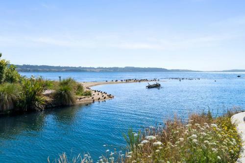 Absolutely Shore - Ngongotaha Holiday Home