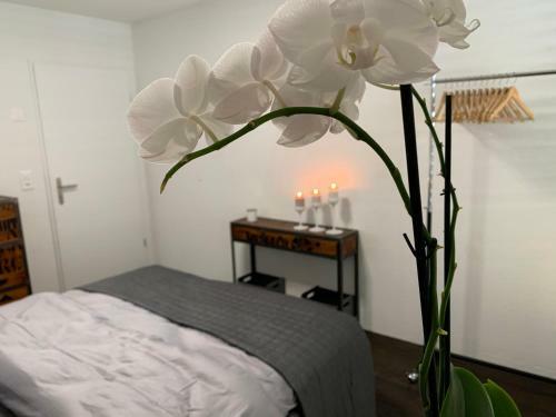 Central & Elegant Room In Biel
