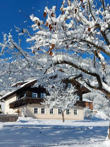 Apartamento Hohlbichl Gut