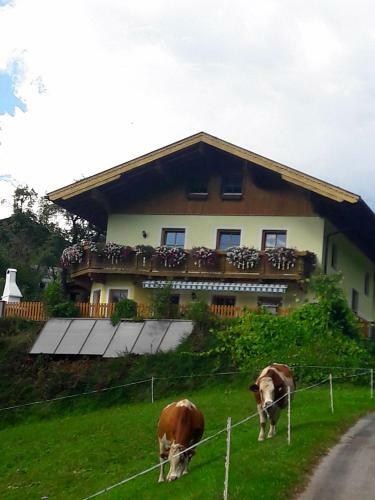 Apartamento Landhaus Katharina