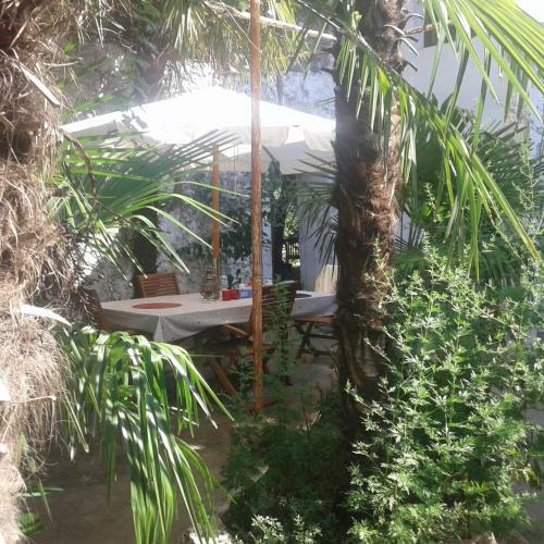 Apartamento Palmera