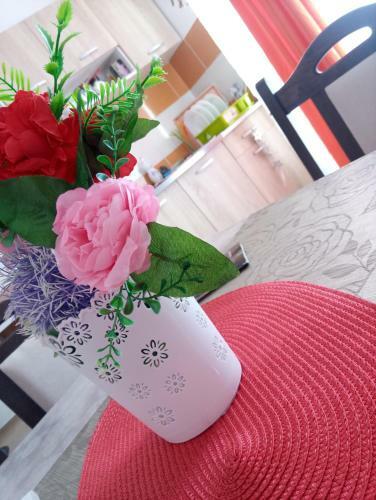 Apartman Centar