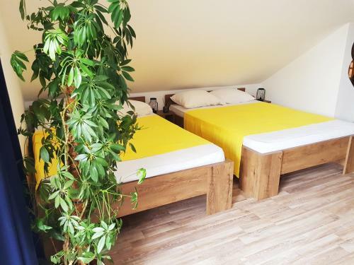 Central Studio Apartment With Parking, Balcony & Garden