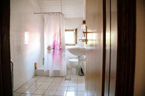 Apartment Ikar