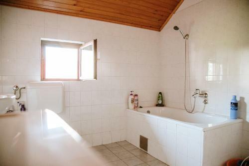 Apartment Ikar