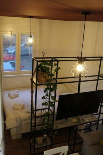 Apartman Tilia